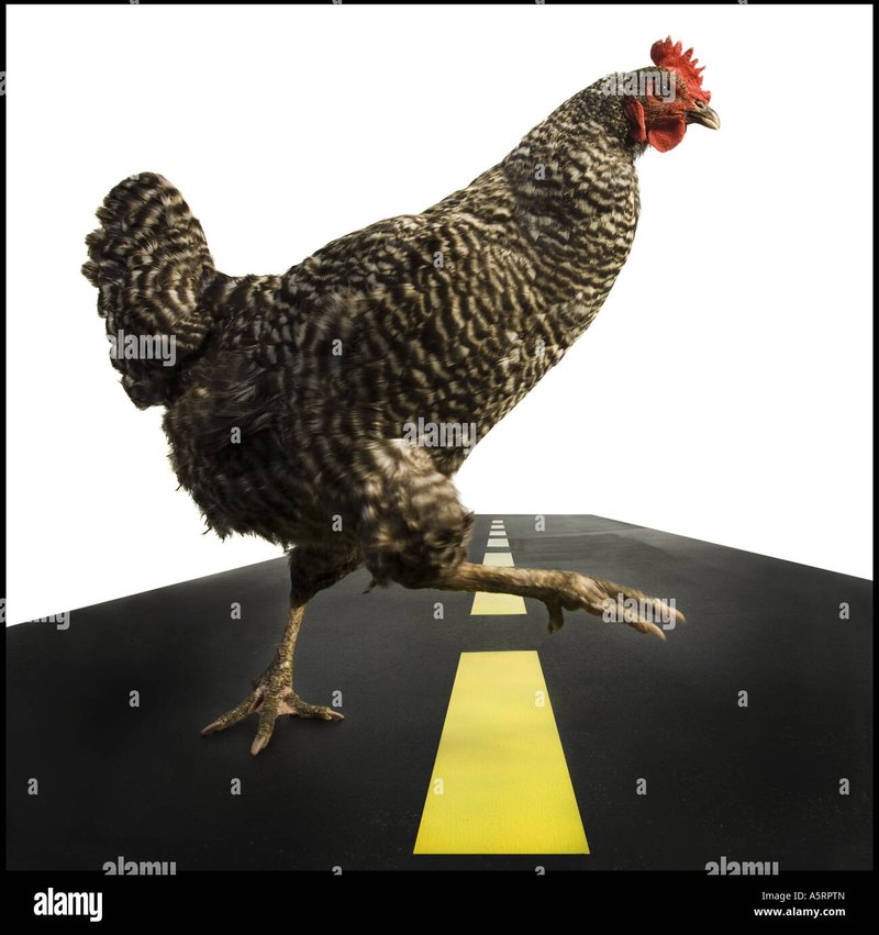 Germany - chicken road casino